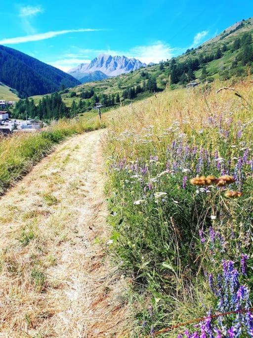 T2/3 6Pers & Pied Des Pistes & Piscine Chauffee Lejlighed Vars  Eksteriør billede